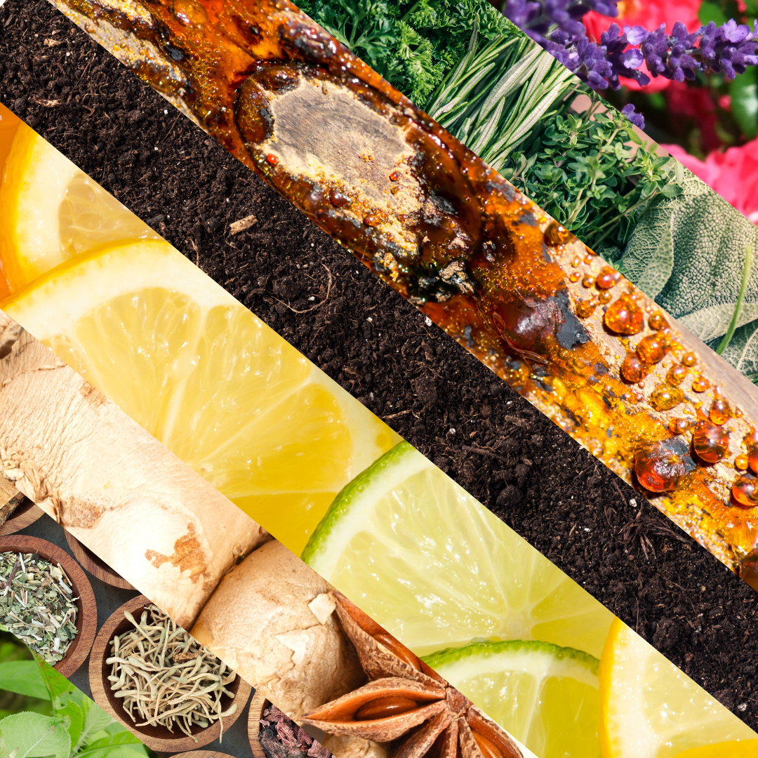 Essential Oil Scent Family Photo